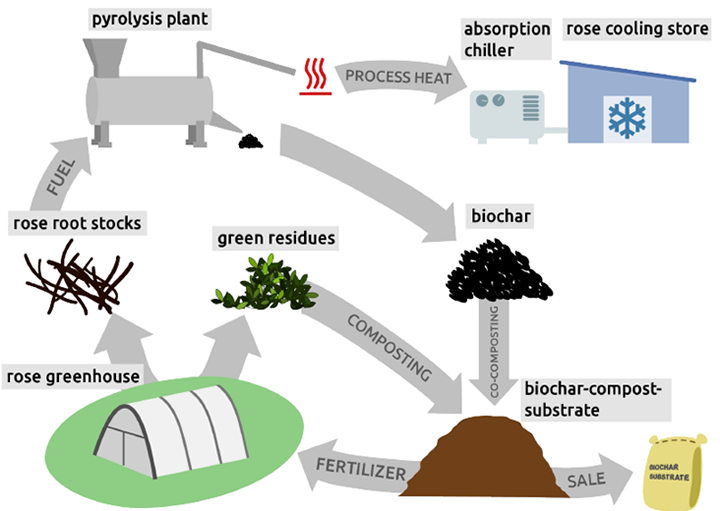 Biokohle-System am Beispiel der Nutzung der Reststoffe der Rosenproduktion