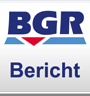 BGR Bericht